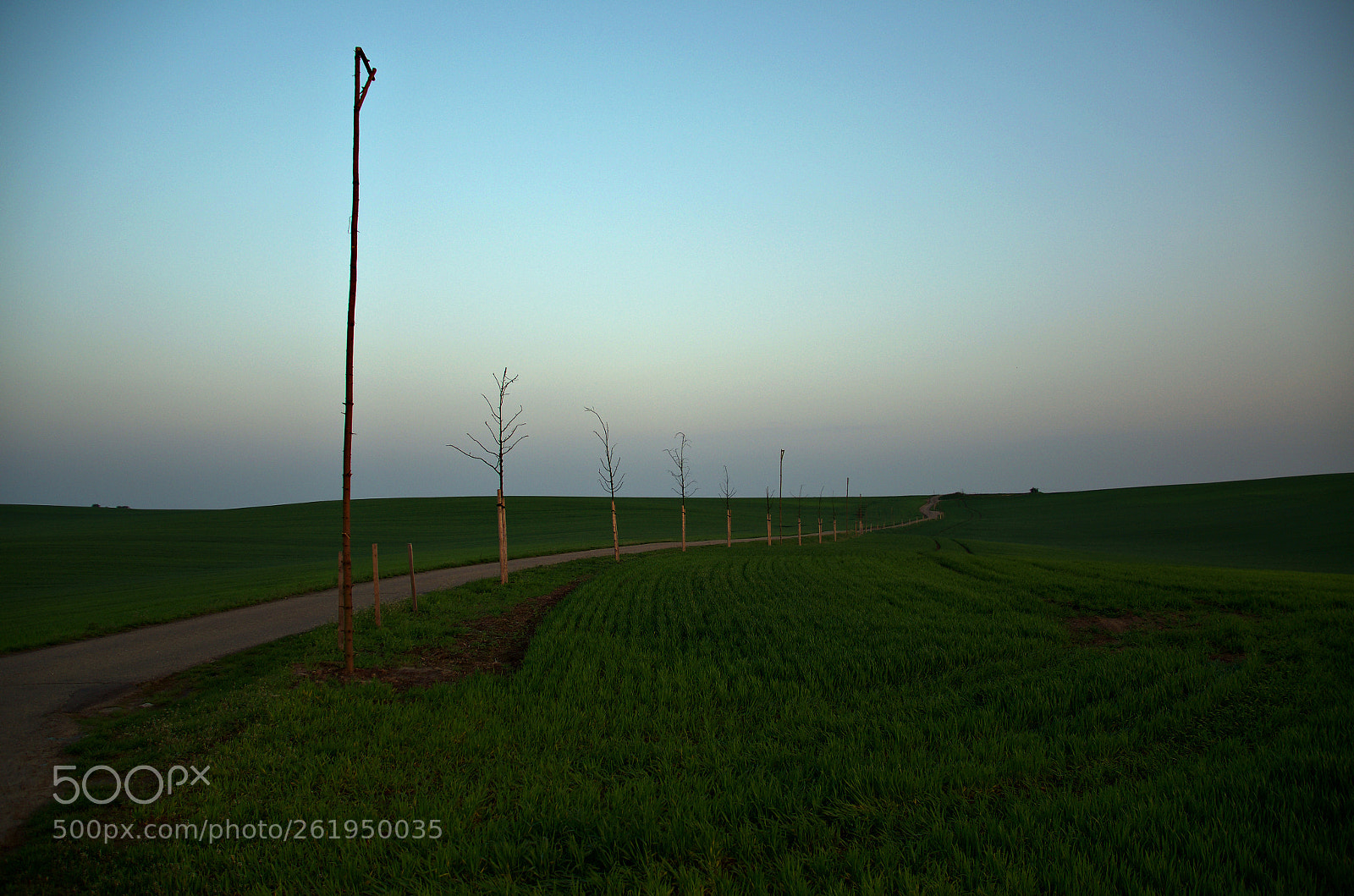 Pentax K-5 IIs sample photo. A photography
