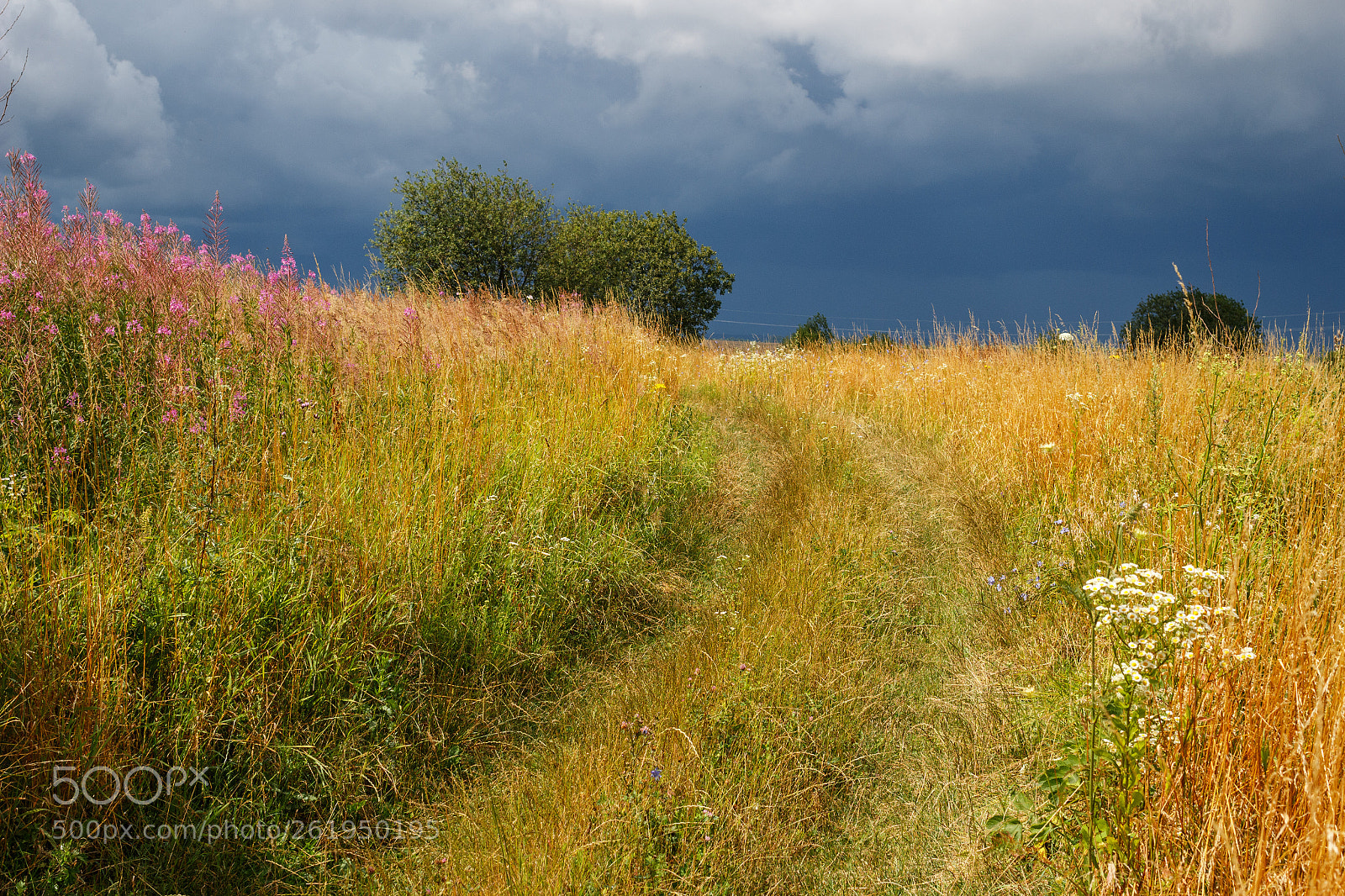 Canon EOS 100D (EOS Rebel SL1 / EOS Kiss X7) sample photo. Before a storm photography