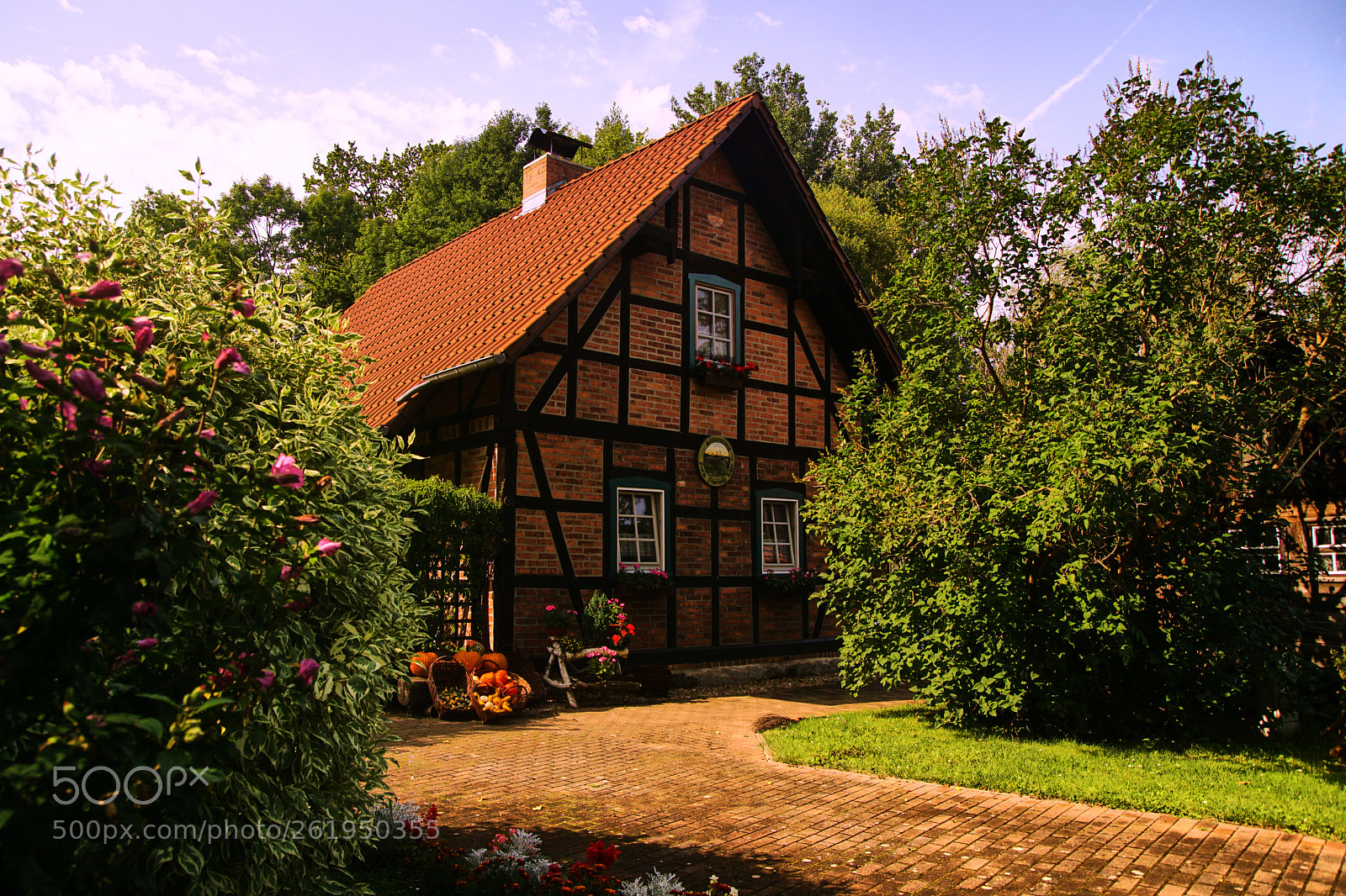 Sony ILCA-77M2 sample photo. Lehde, color version photography