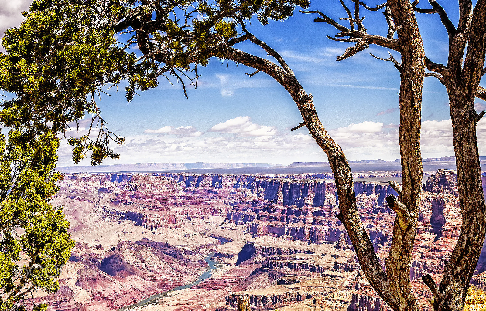 Canon EOS 80D sample photo. Tower grand canyon () photography