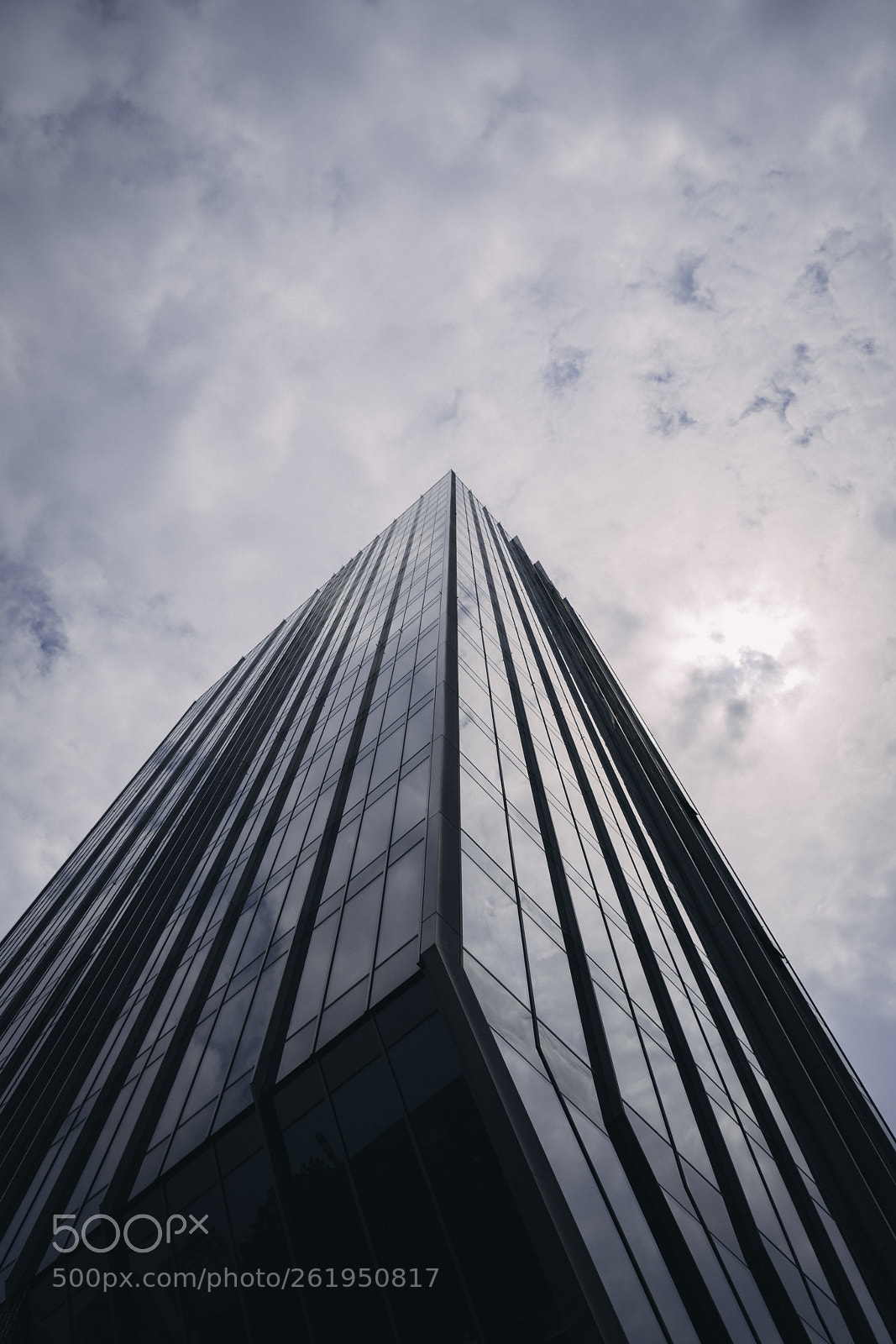 Sony a7R II sample photo. Look up! photography