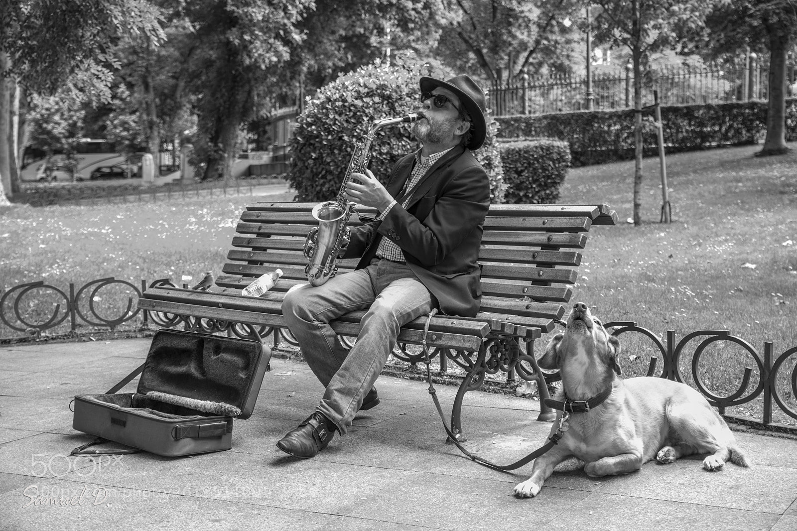 Nikon D500 sample photo. Saxo and singer photography