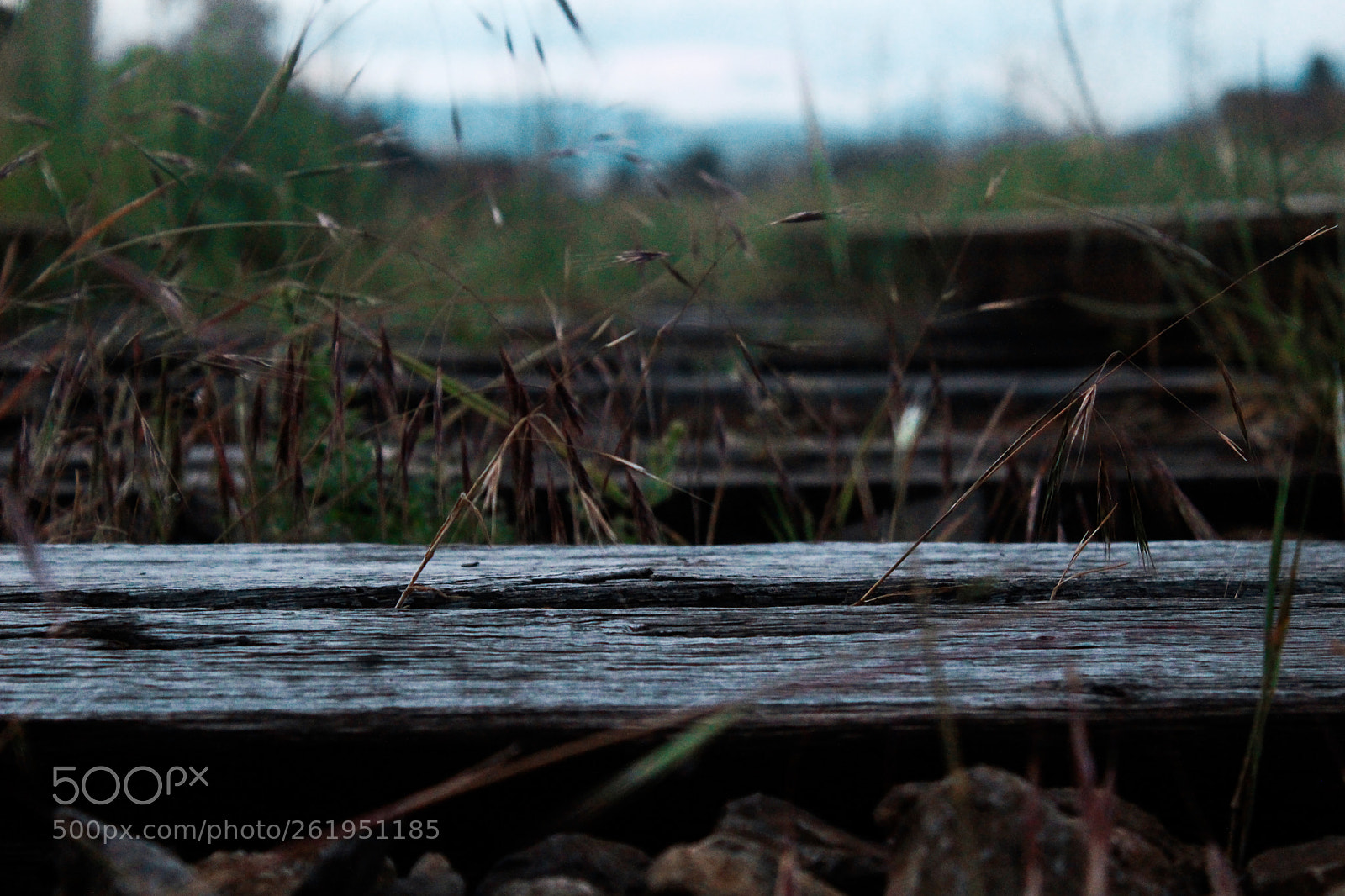 Canon EOS 100D (EOS Rebel SL1 / EOS Kiss X7) sample photo. Tufa photography
