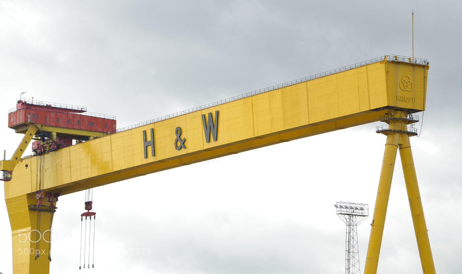 Nikon D3300 sample photo. Harladn and wolf crane photography