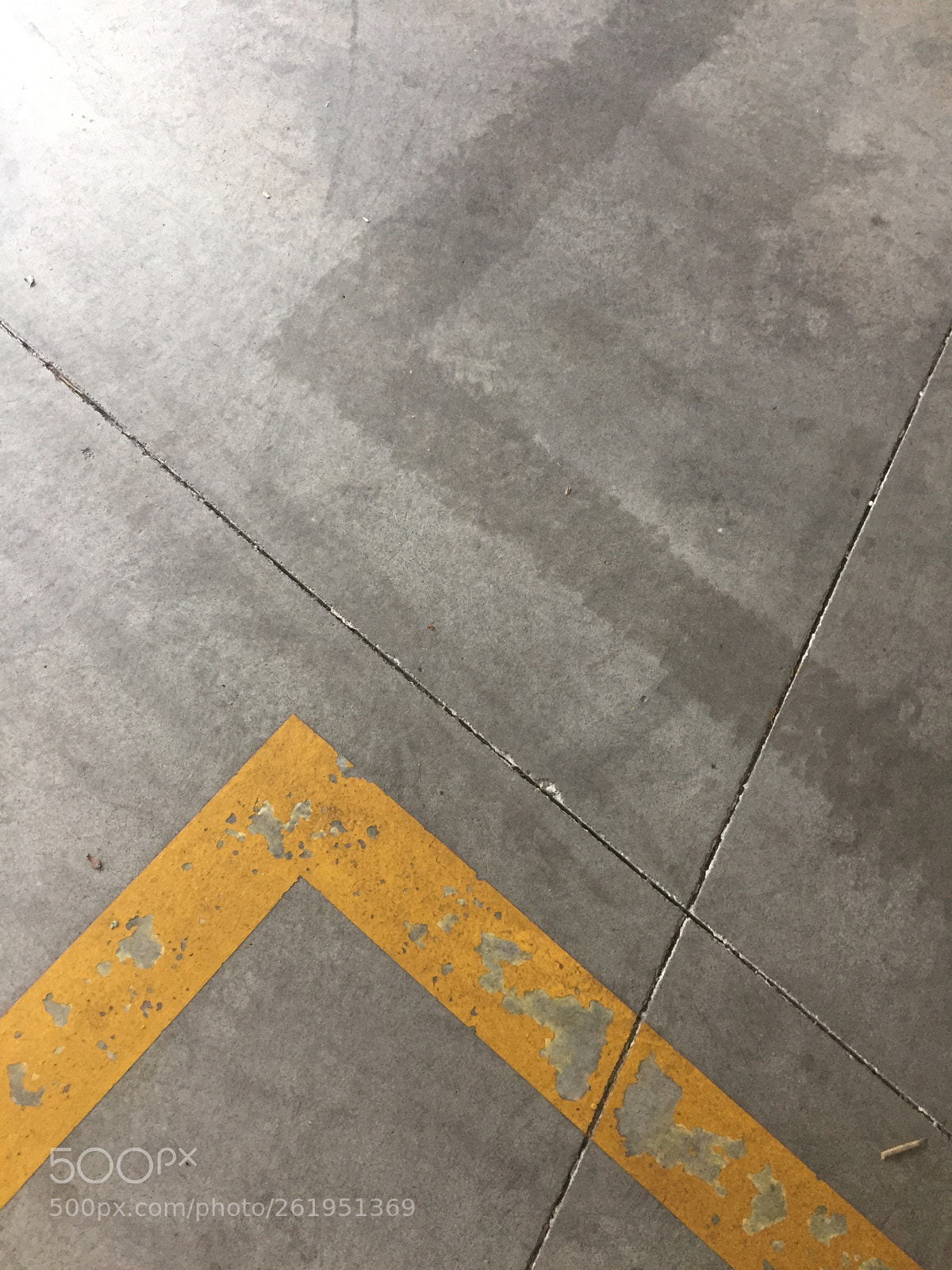 Apple iPhone 6 sample photo. Lignsc photography