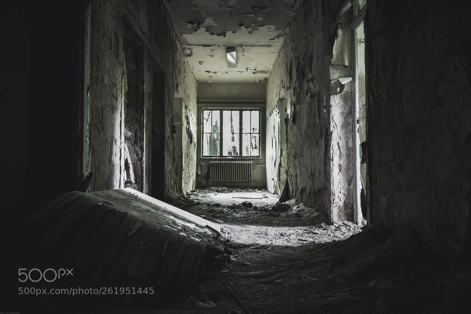 Canon EOS 50D sample photo. | forgotten and yet known | photography