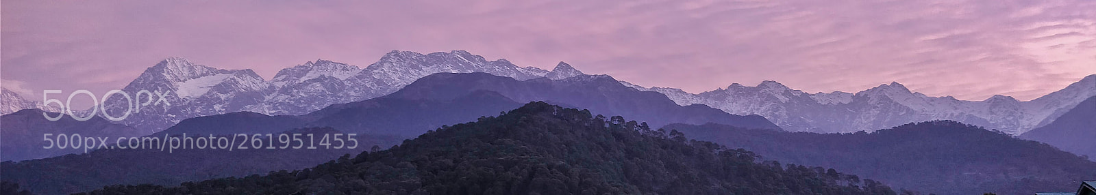 OnePlus 5 sample photo. Palampur mornings photography