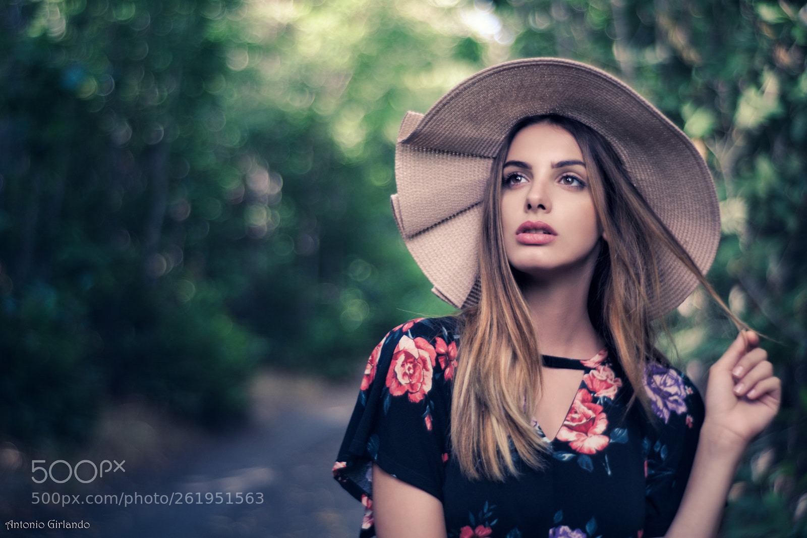 Fujifilm X-Pro2 sample photo. Summer in the woods photography