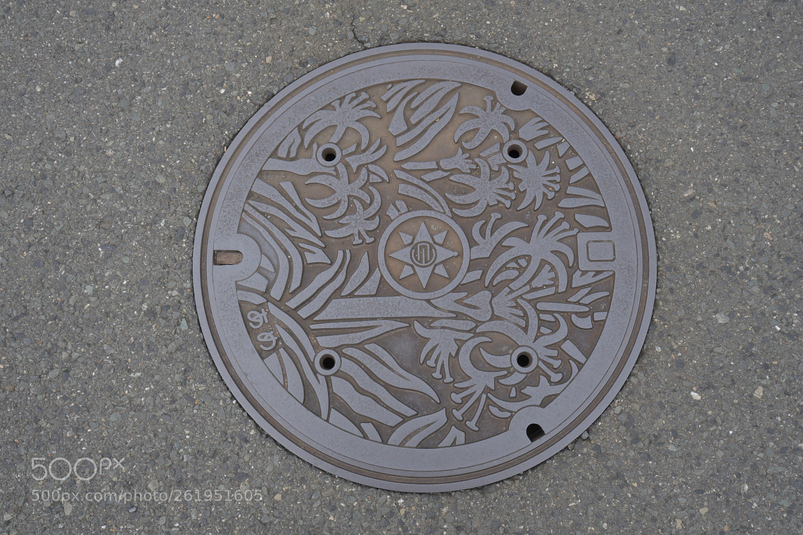 Nikon D500 sample photo. Untitled photography