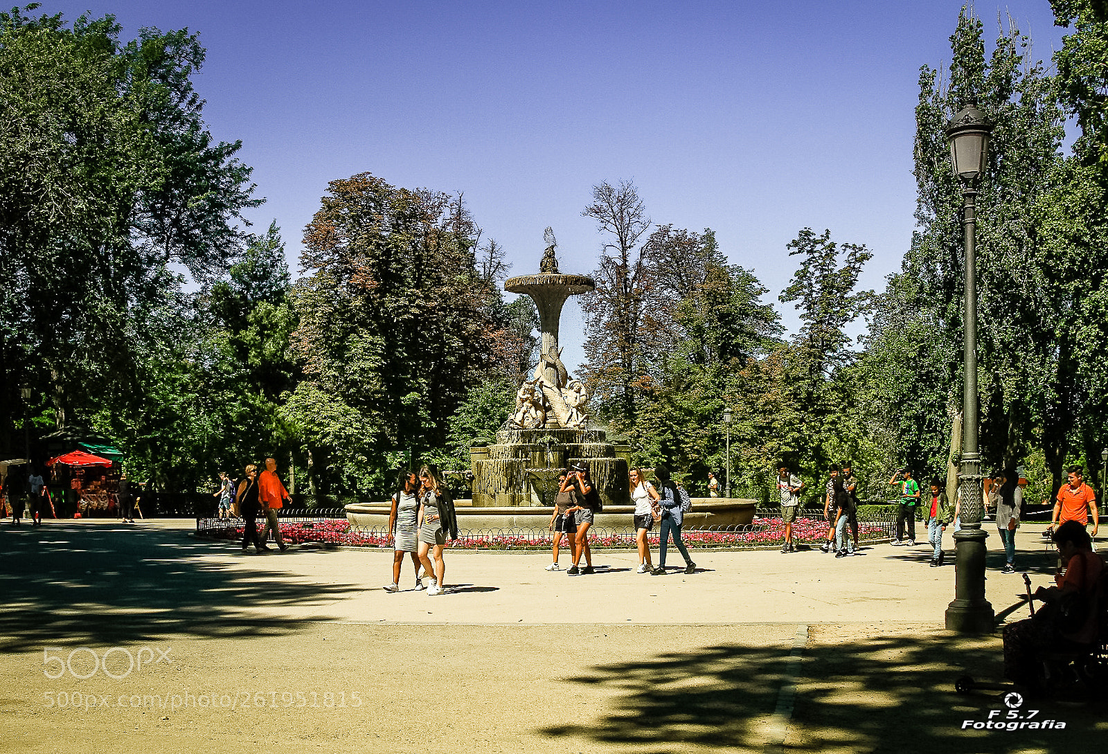 Canon EOS 7D sample photo. Parque del retiro photography