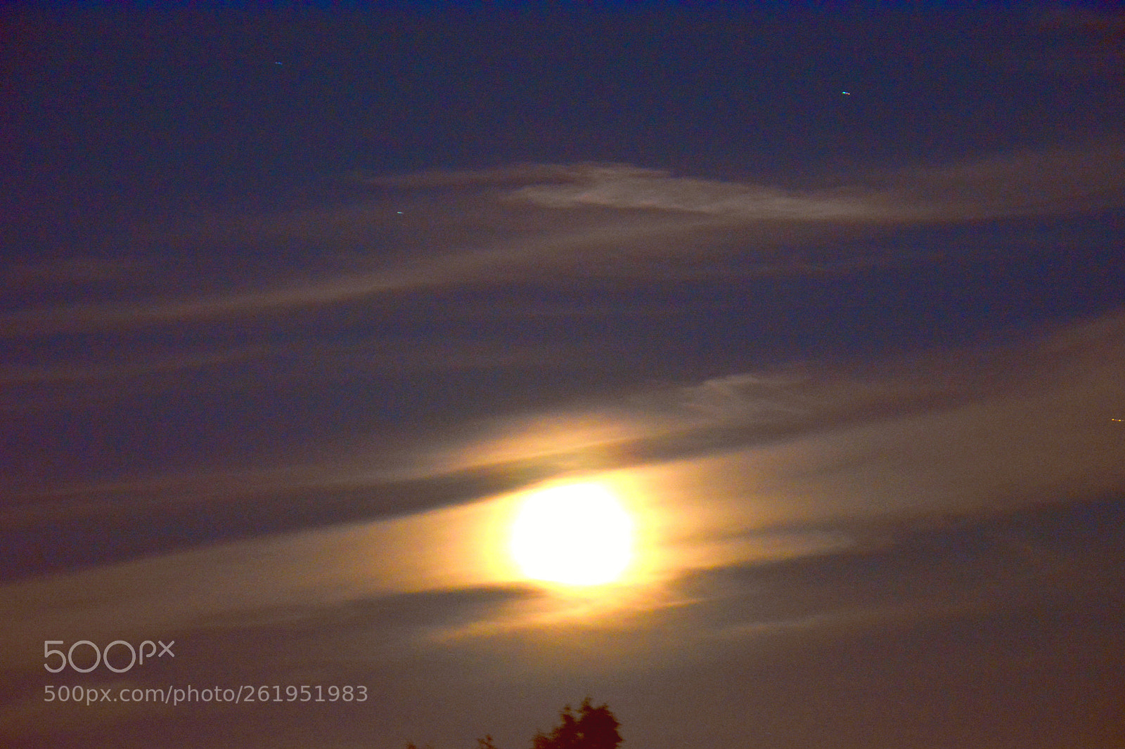 Nikon D5200 sample photo. Untitled photography