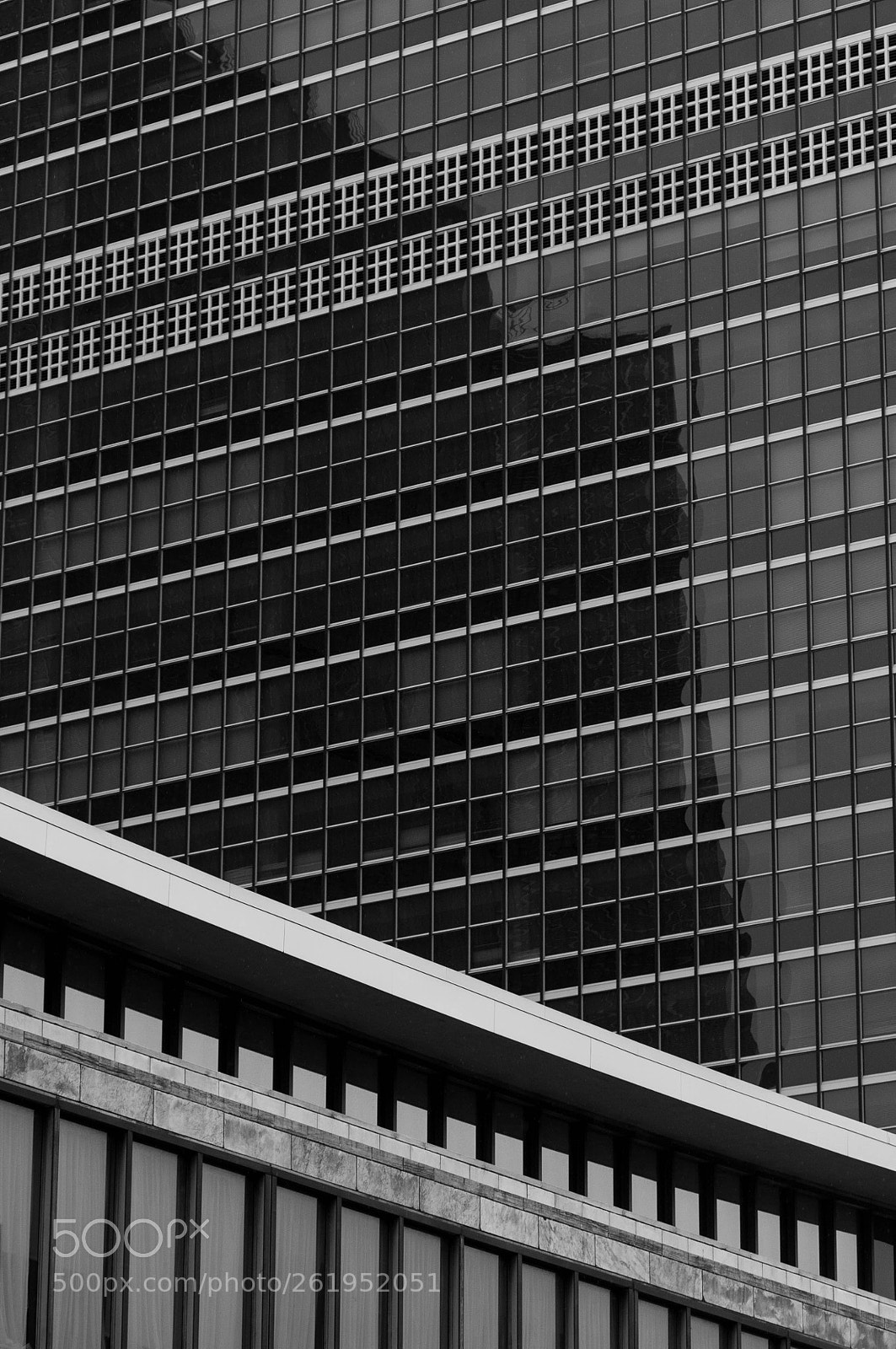 Nikon D90 sample photo. United nations windows photography