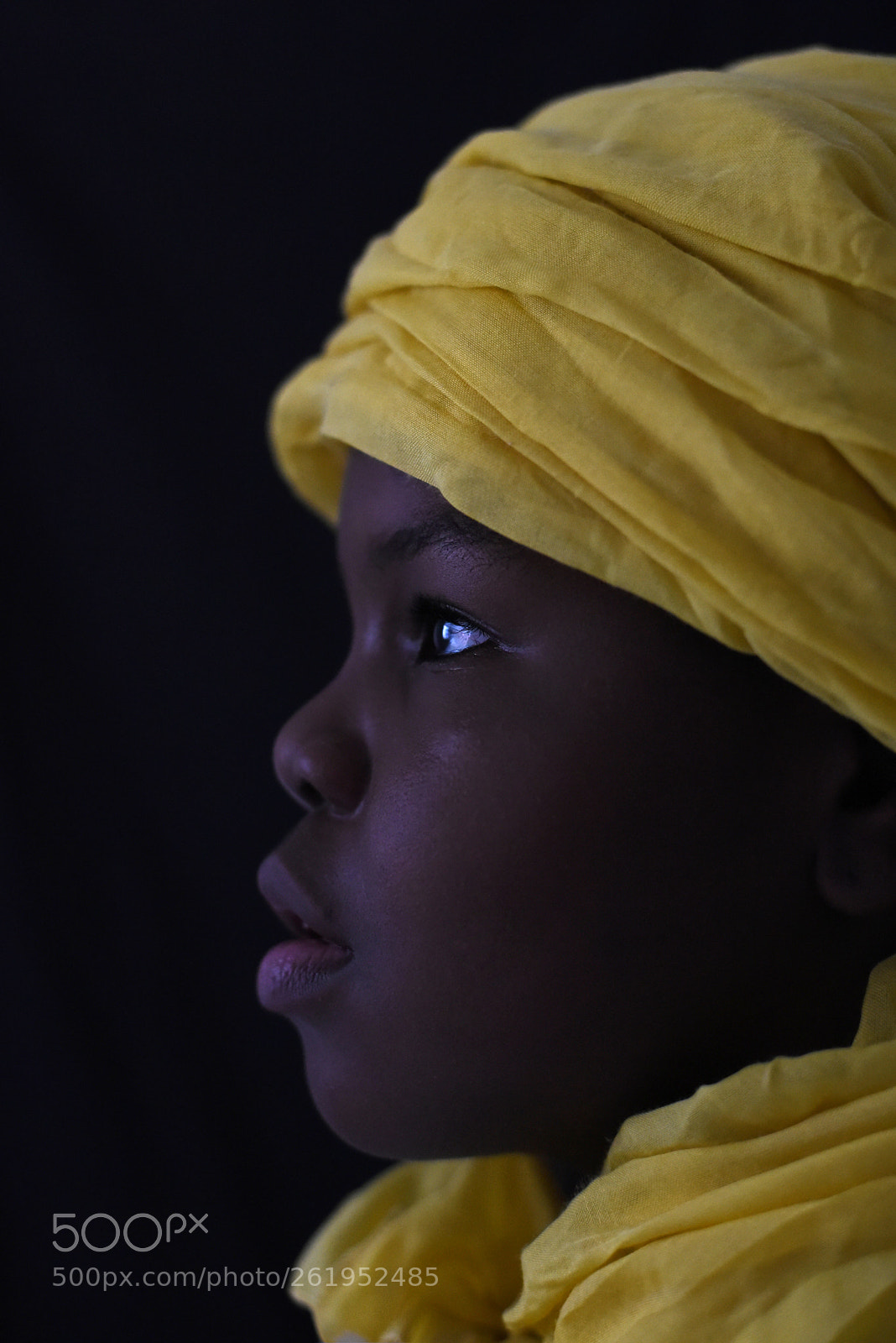 Nikon D750 sample photo. Broken but full of photography