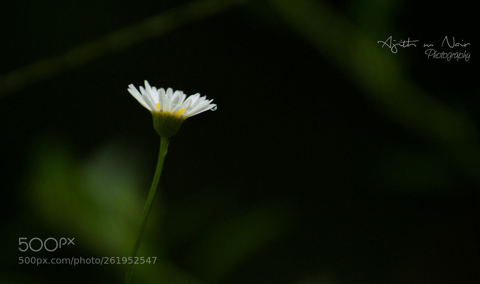 Canon EOS 700D (EOS Rebel T5i / EOS Kiss X7i) sample photo. Little drop photography