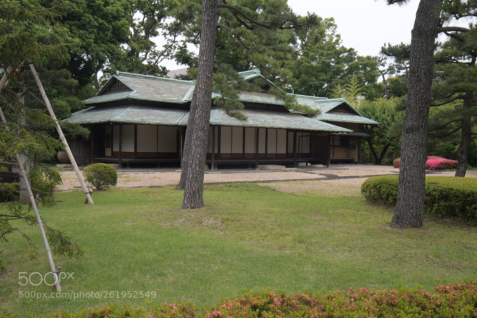 Nikon D500 sample photo. Untitled photography