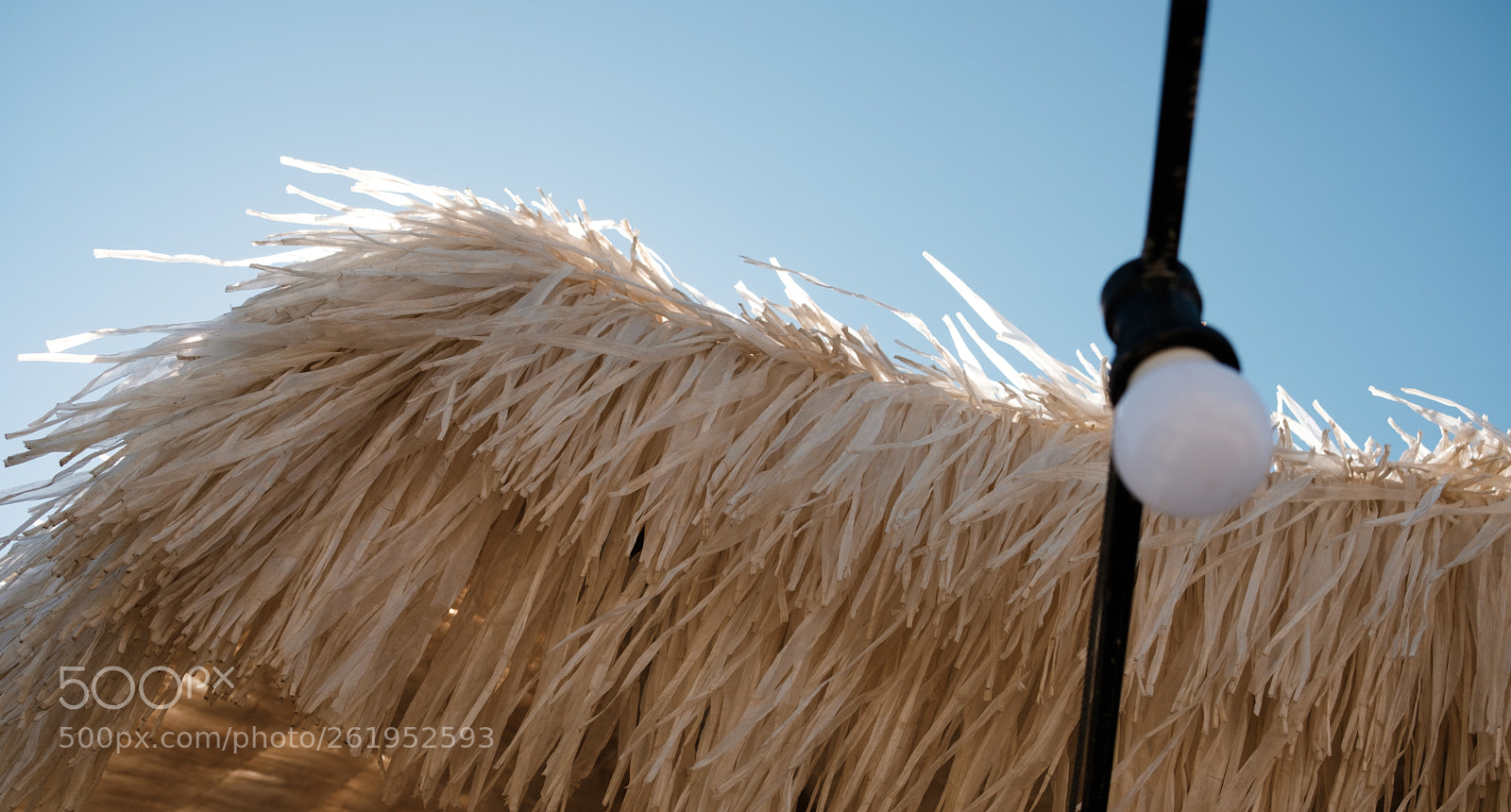 Fujifilm X-Pro2 sample photo. Friedlich photography