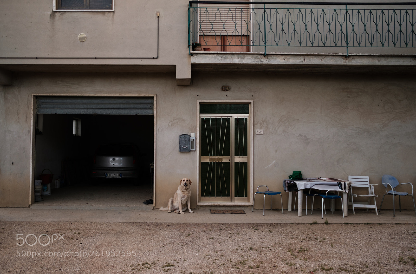 Fujifilm X-Pro2 sample photo. Hund photography
