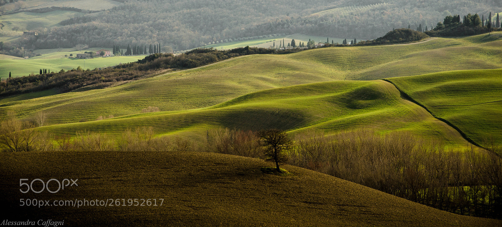 Nikon D5100 sample photo. ...toscana... photography