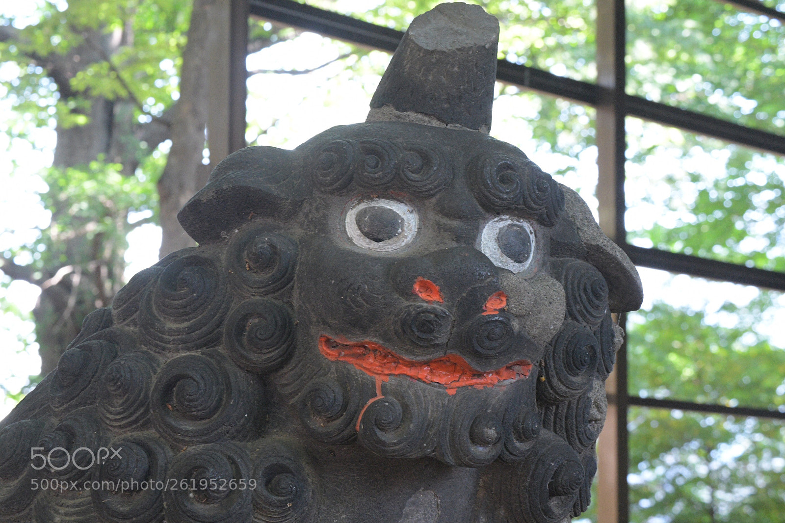 Nikon D500 sample photo. Untitled photography