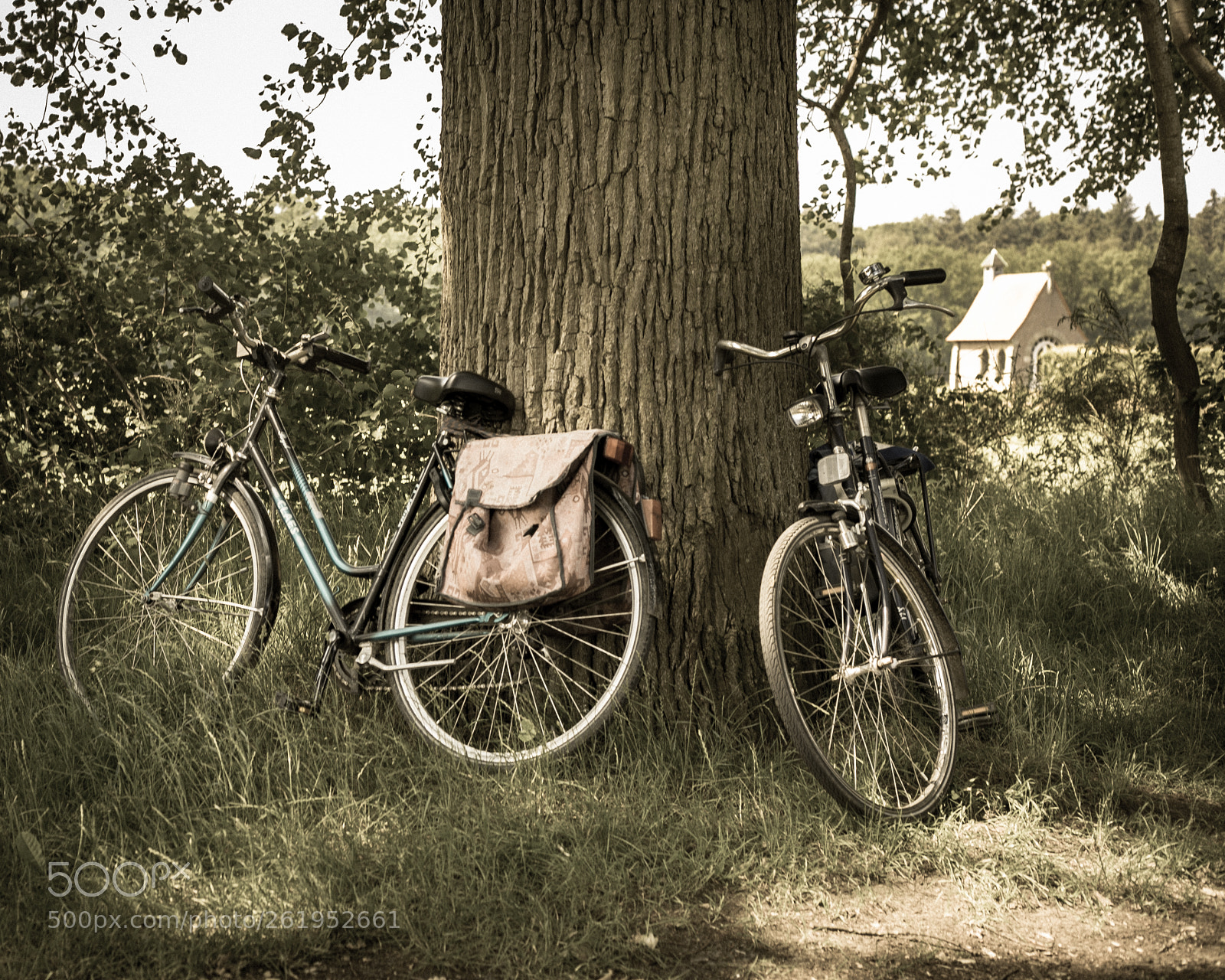 Canon EOS 5D Mark IV sample photo. Memory of old times photography