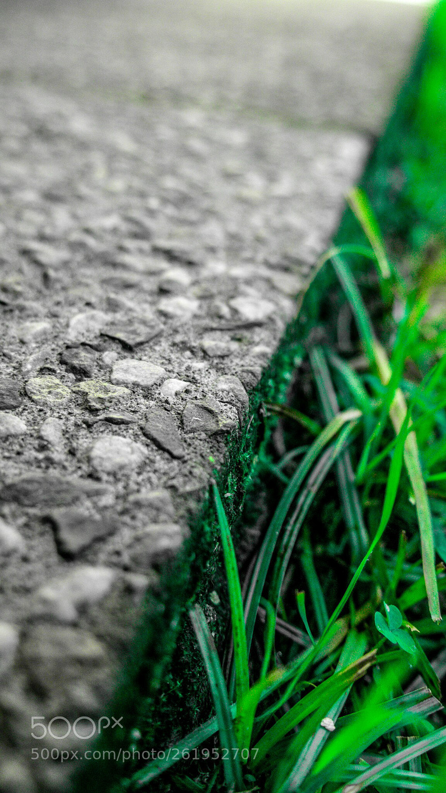 Panasonic Lumix DMC-G7 sample photo. Untitled photography
