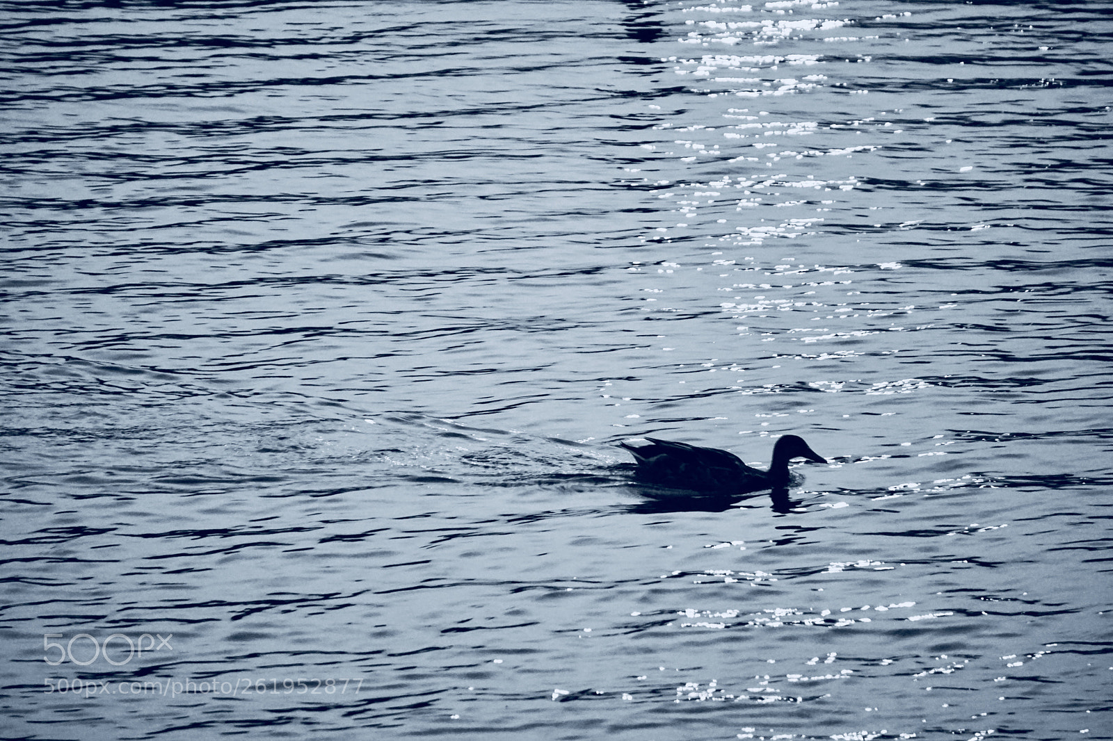 Sony a5100 sample photo. Lone voyager  photography