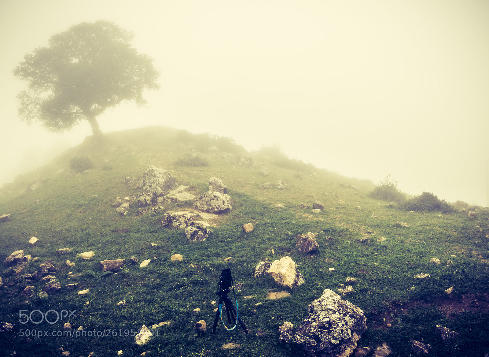 Nikon D7200 sample photo. Dreamer #2 photography
