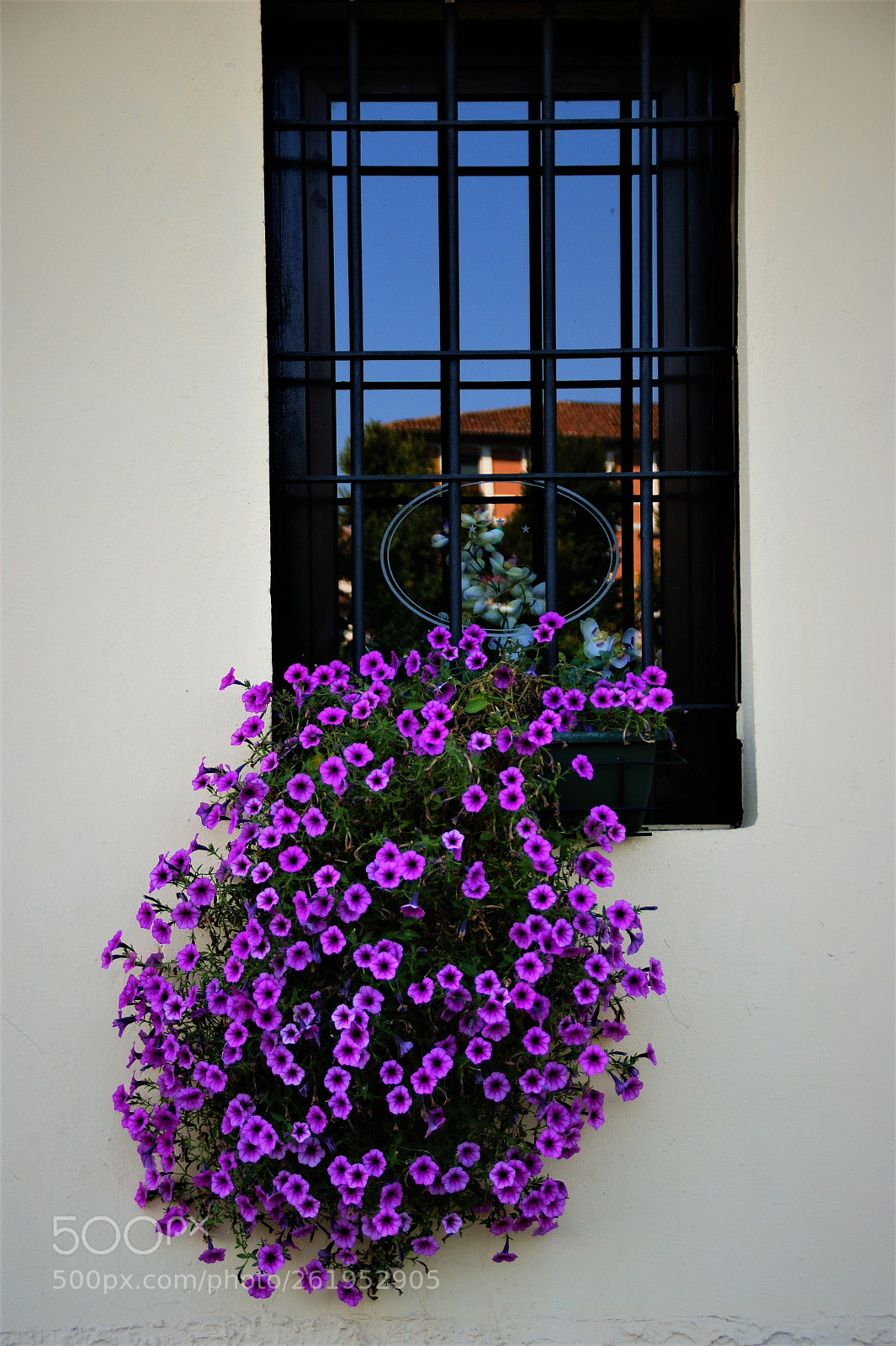 Sony Alpha DSLR-A350 sample photo. Reflections with a purple photography