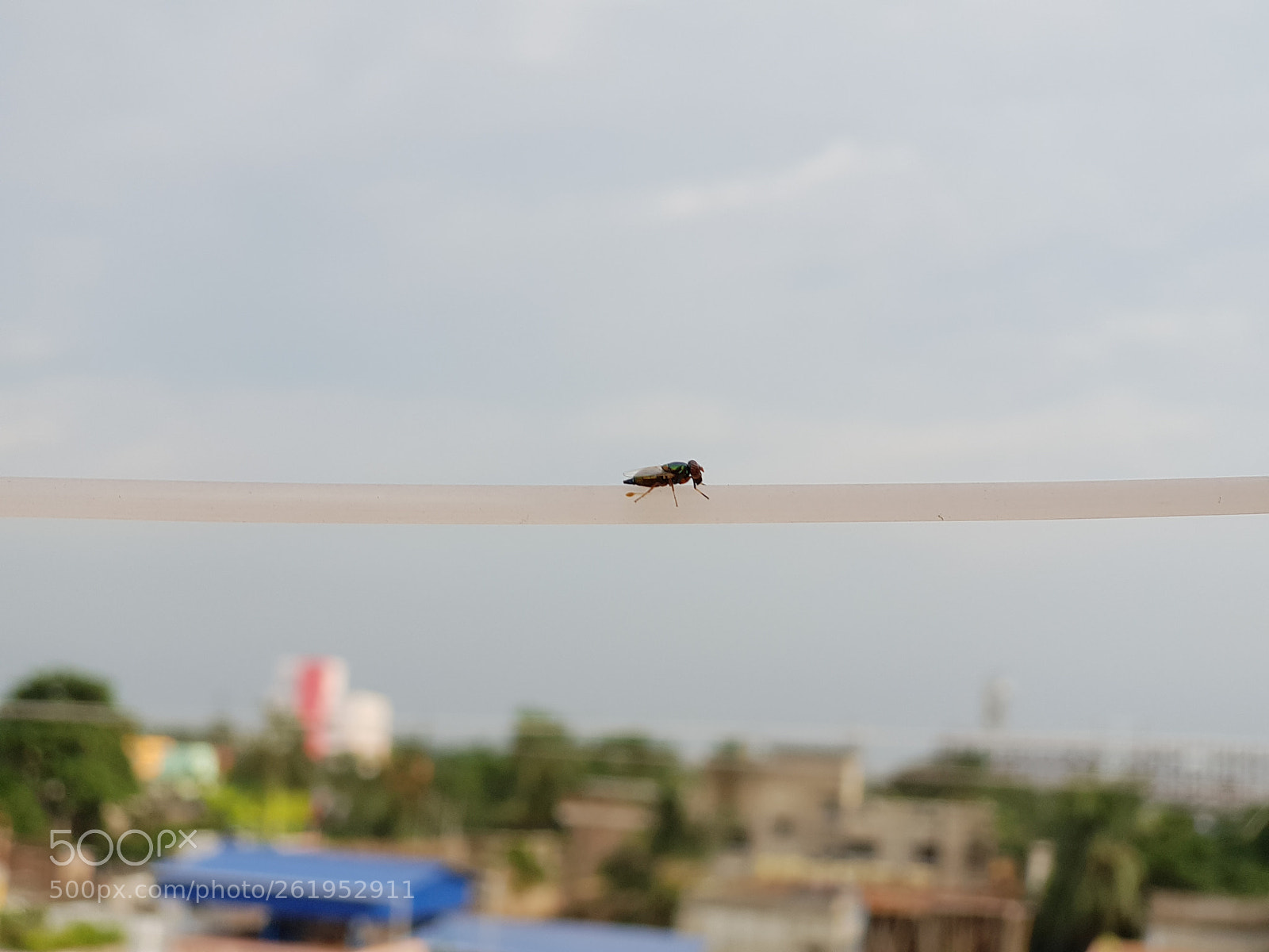 Samsung Galaxy S9+ sample photo. Untitled photography