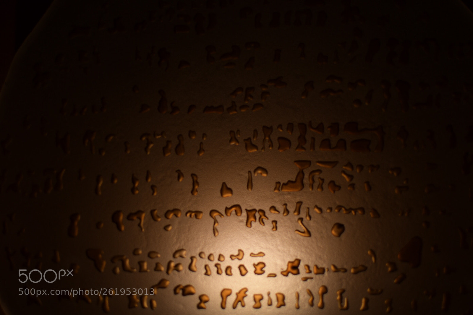 Nikon D500 sample photo. Untitled photography