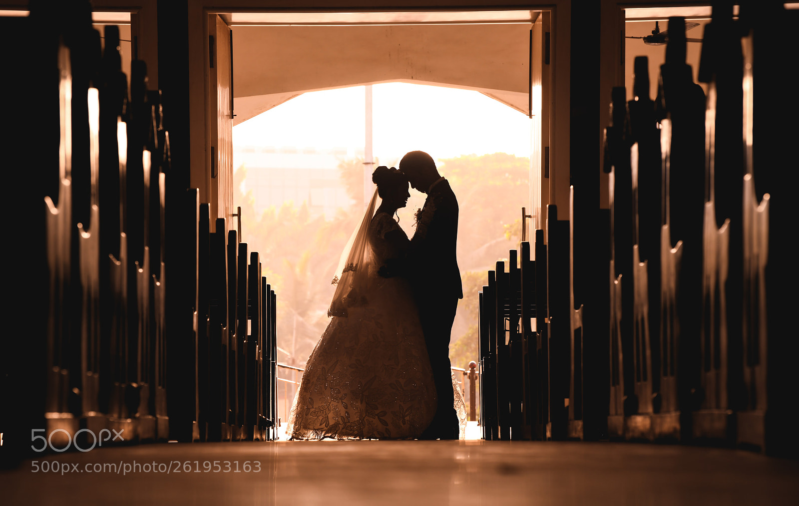 Nikon D850 sample photo. Untitled photography