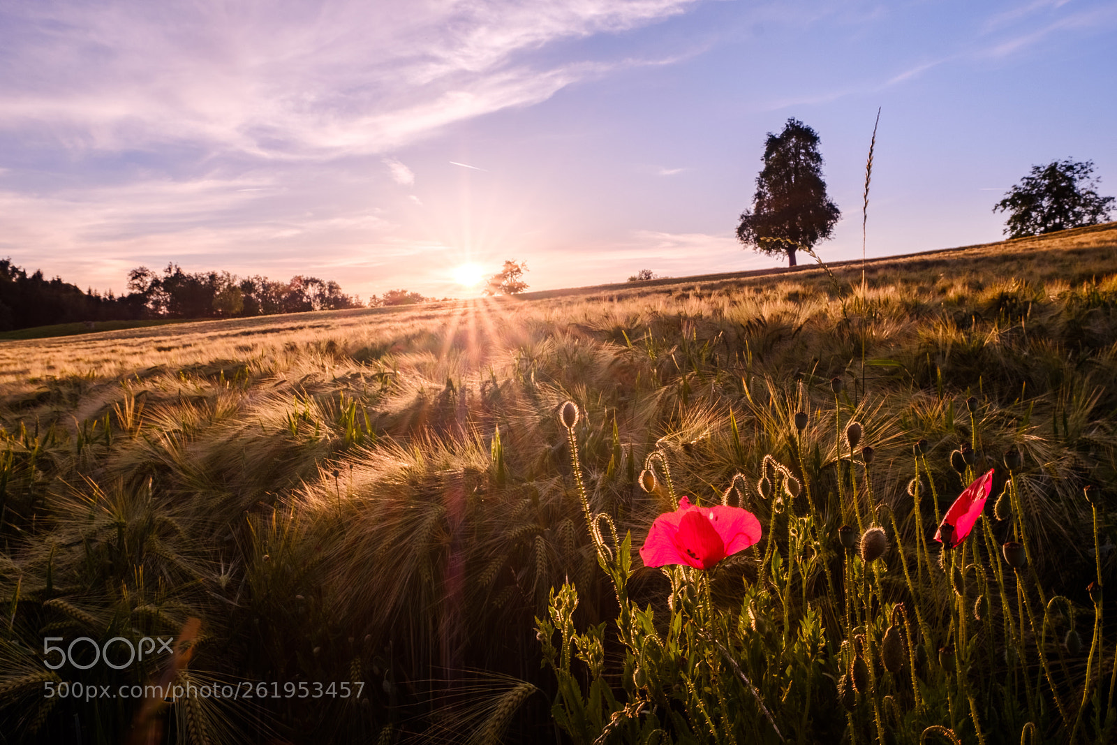 Fujifilm X-T2 sample photo. Lovely sunset photography