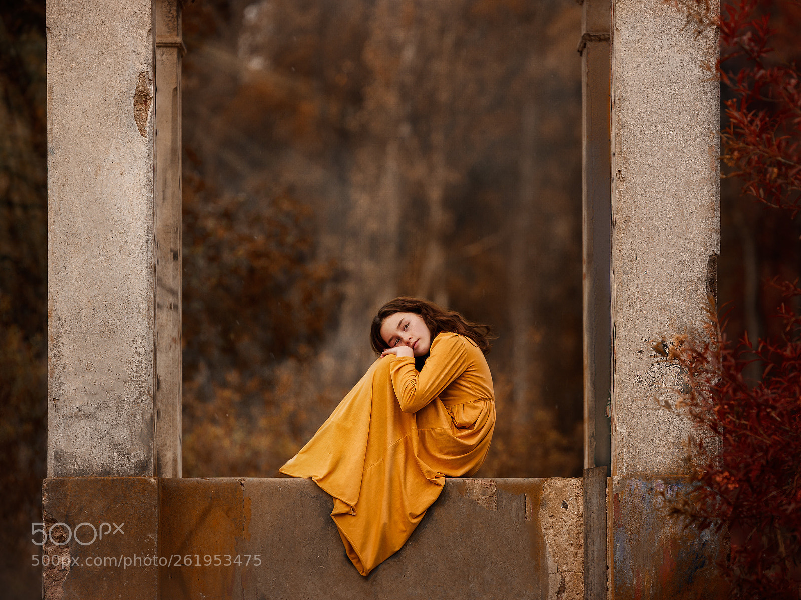 Nikon D750 sample photo. Yellow dreams photography