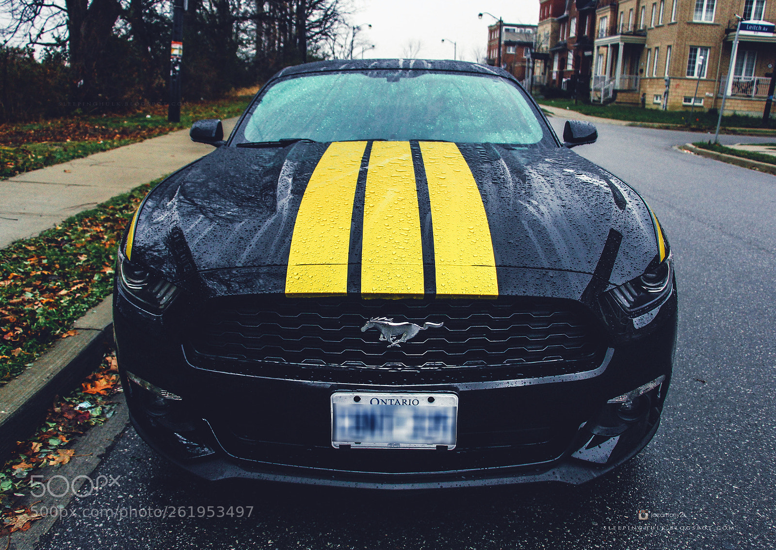Canon EOS 700D (EOS Rebel T5i / EOS Kiss X7i) sample photo. Mustang photography