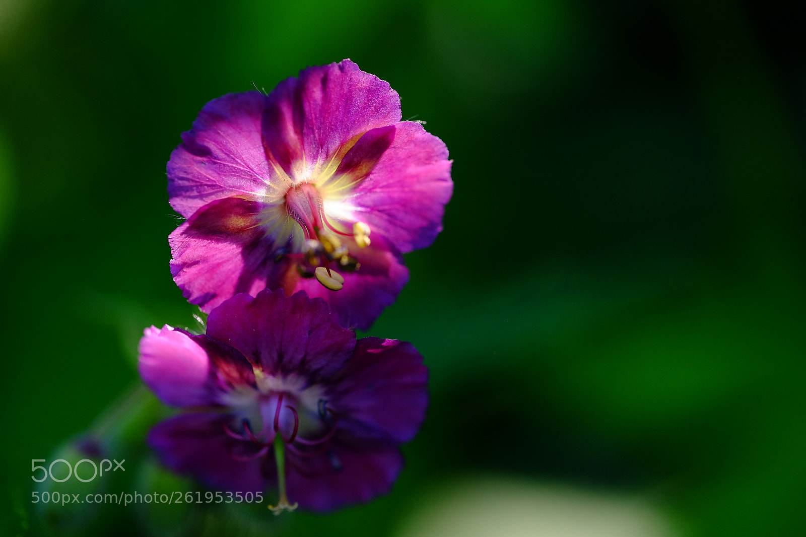 Fujifilm X-T10 sample photo. 582 photography