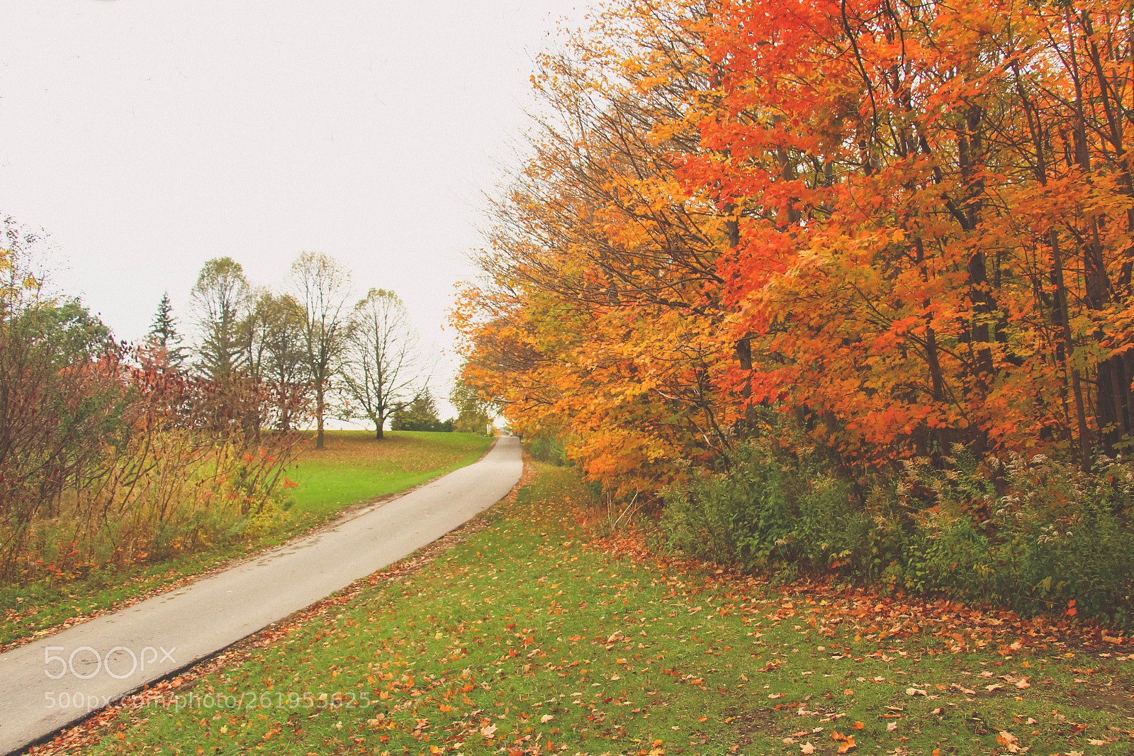 Canon EOS 700D (EOS Rebel T5i / EOS Kiss X7i) sample photo. Fall colors photography