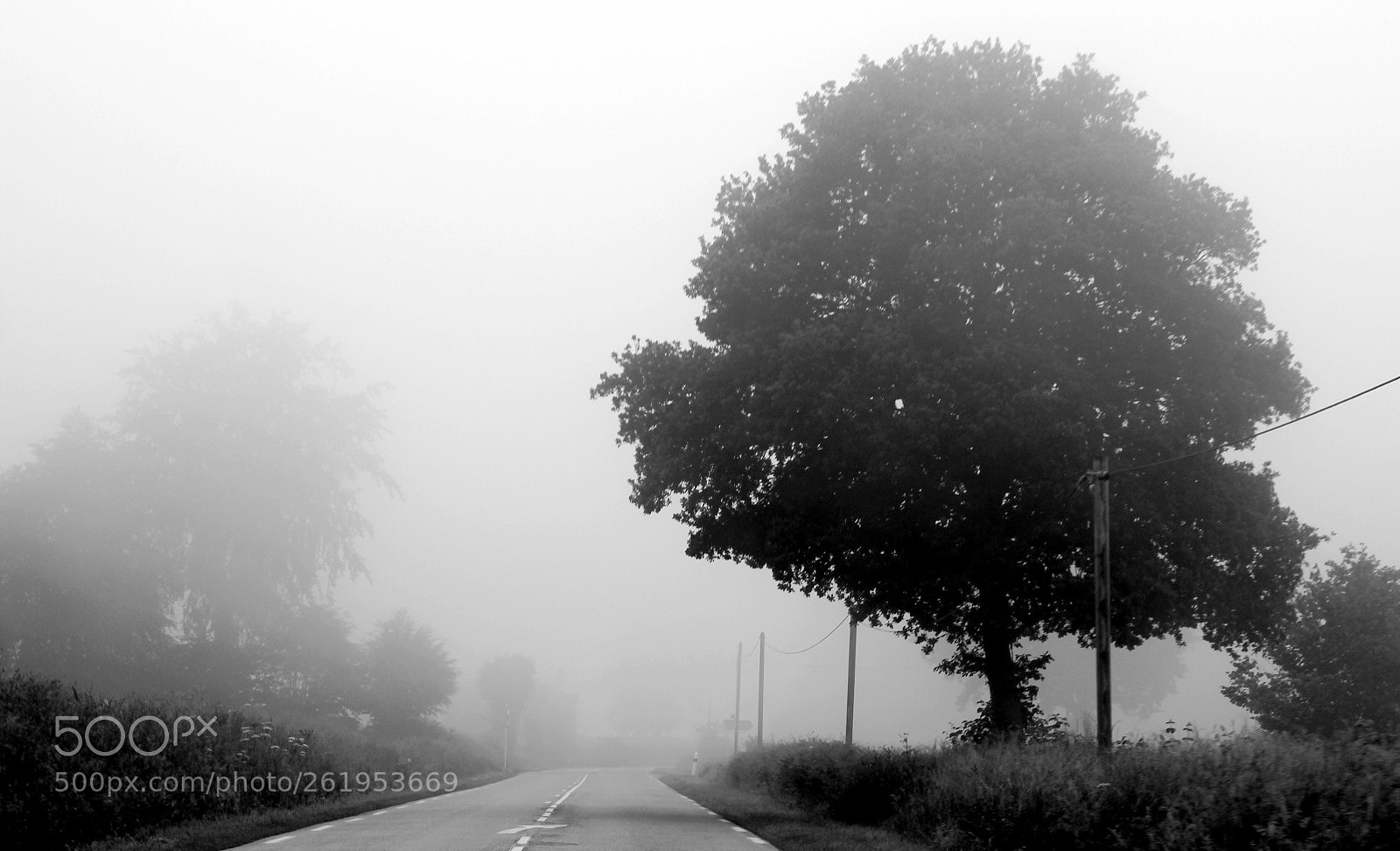 Canon EOS 550D (EOS Rebel T2i / EOS Kiss X4) sample photo. Misty morning photography