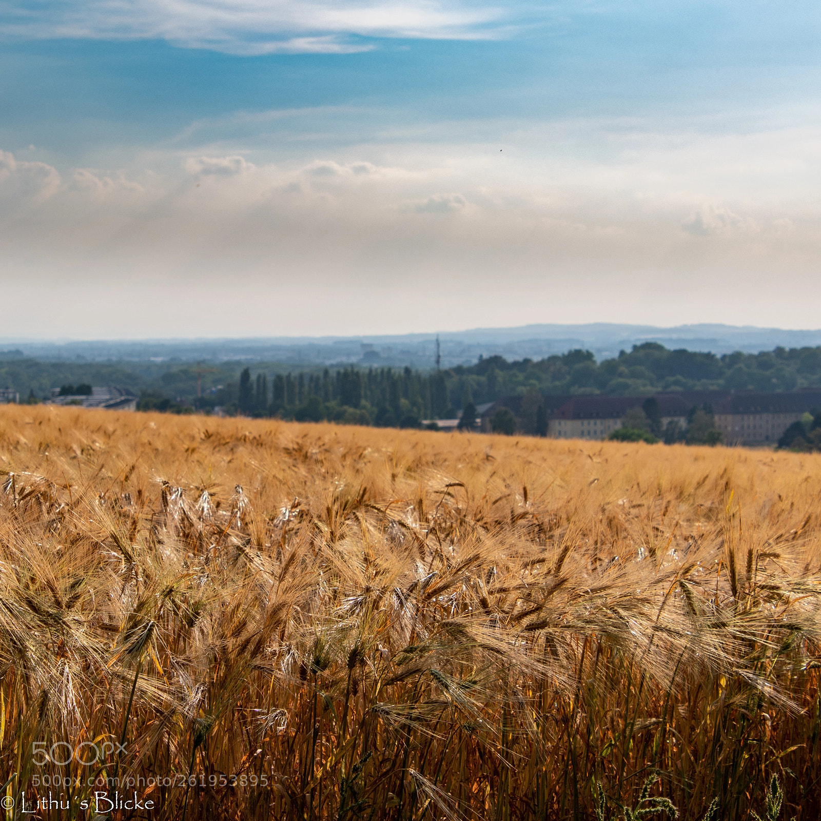 Nikon D7500 sample photo. Blick ber linz view photography