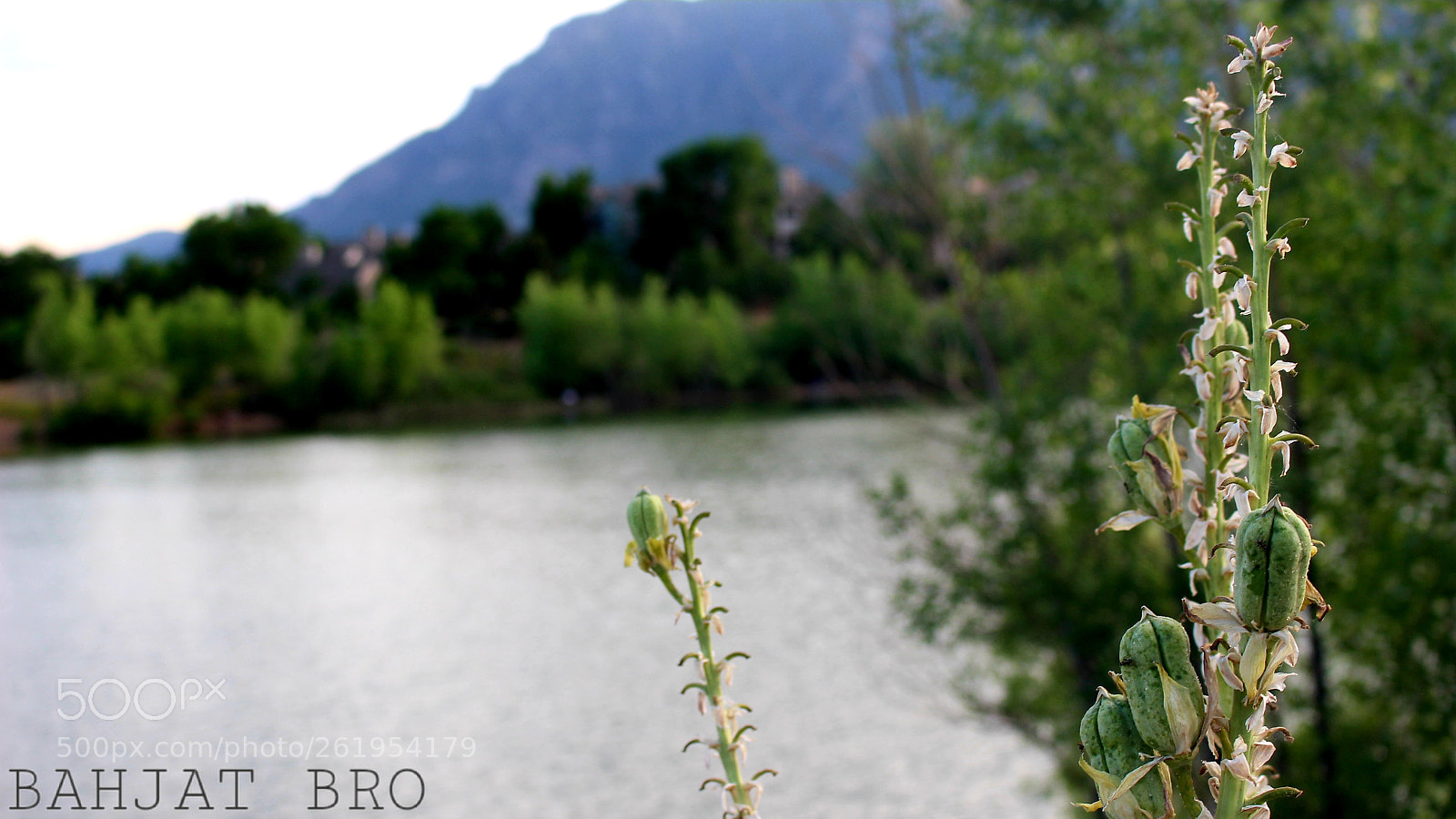 Canon EOS 100D (EOS Rebel SL1 / EOS Kiss X7) sample photo. Good afternoon friends photography