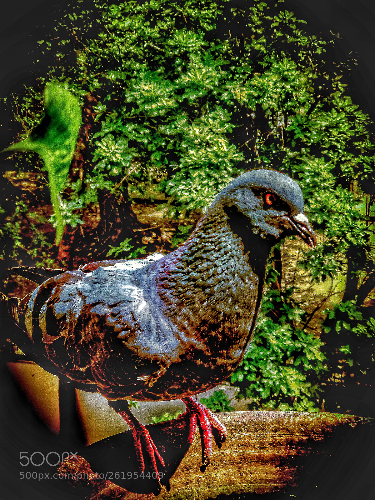 Xiaomi Mi A1 sample photo. Birdie photography