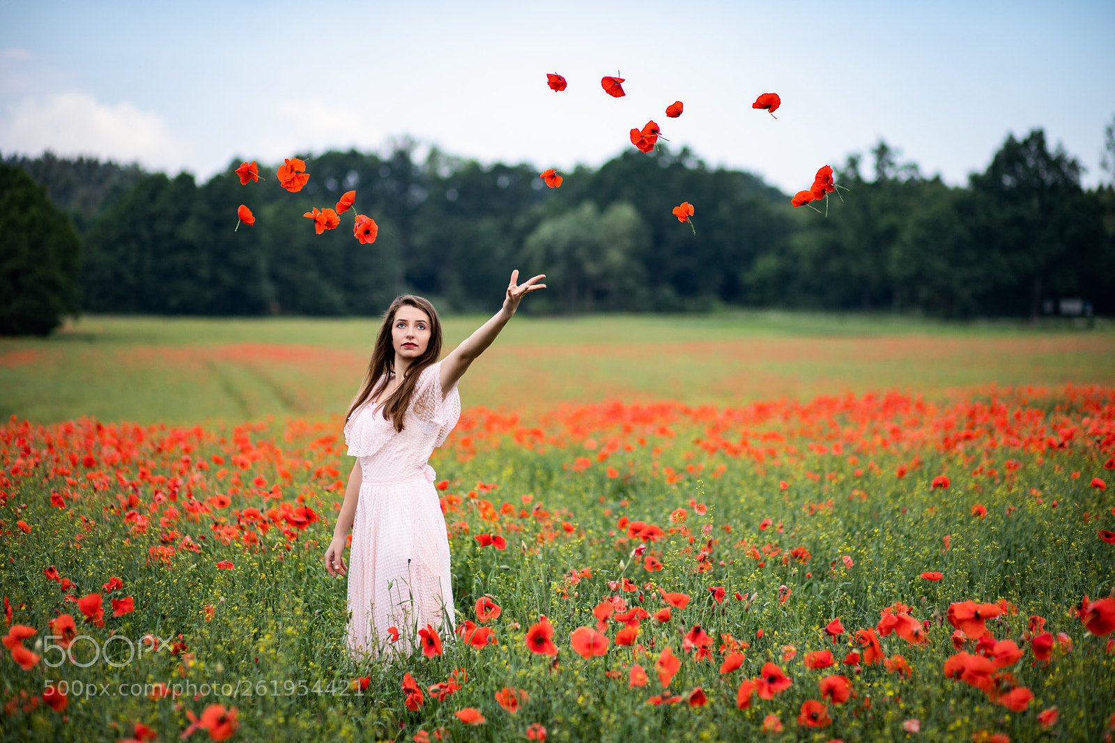 Canon EOS 6D Mark II sample photo. Catterin photography