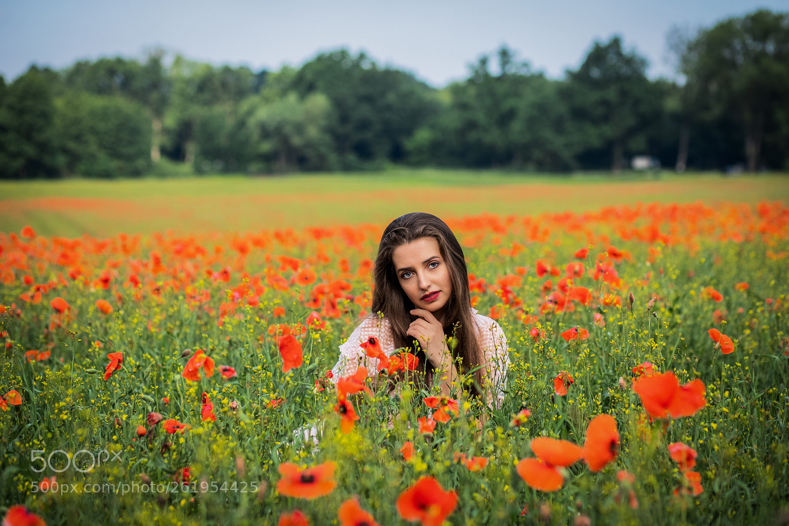 Canon EOS 6D Mark II sample photo. Catterin photography