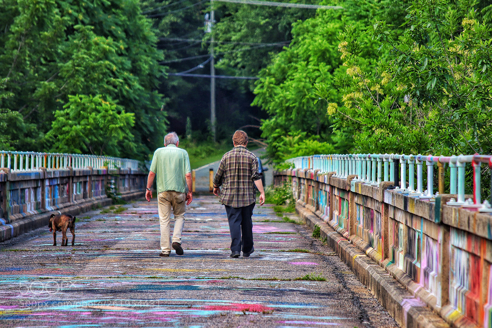 Canon EOS 200D (EOS Rebel SL2 / EOS Kiss X9) sample photo. On the bynum bridge photography