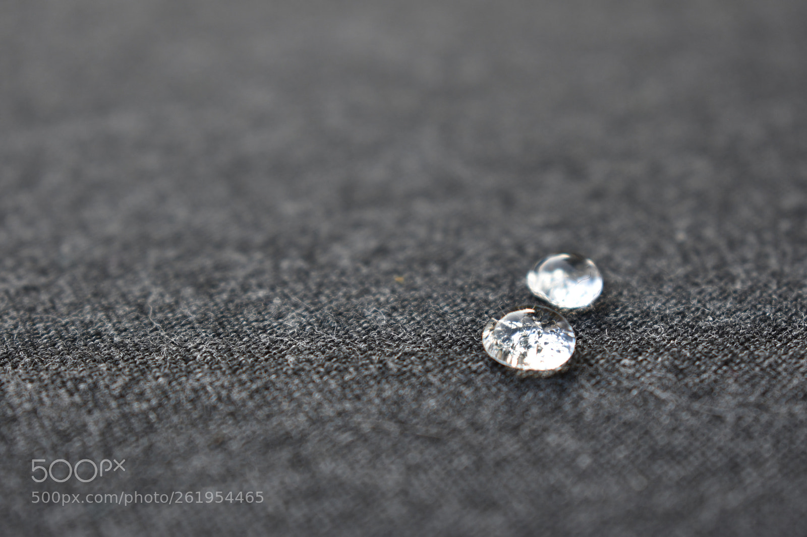 Nikon D5600 sample photo. Twins photography