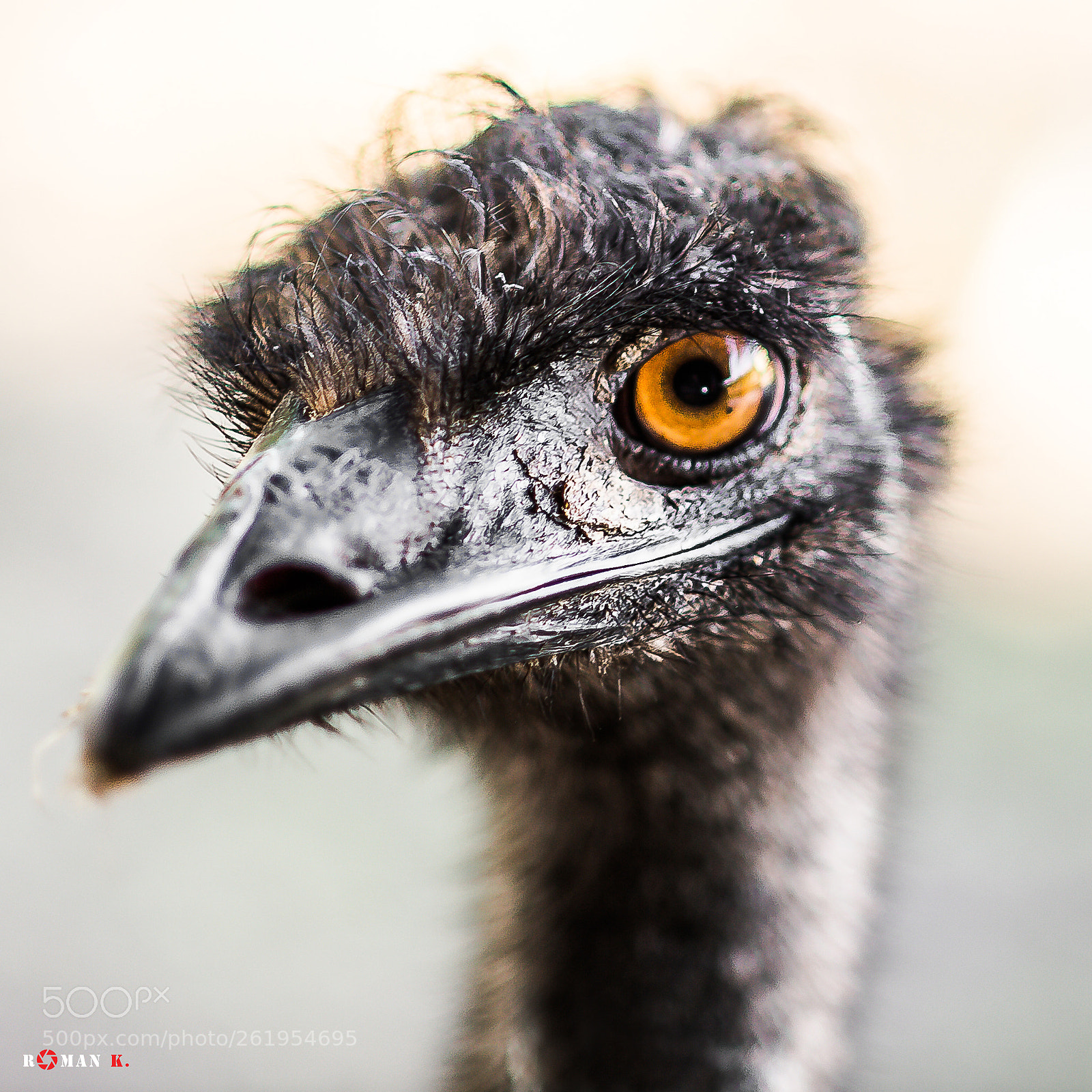 Nikon Df sample photo. Ndf photography