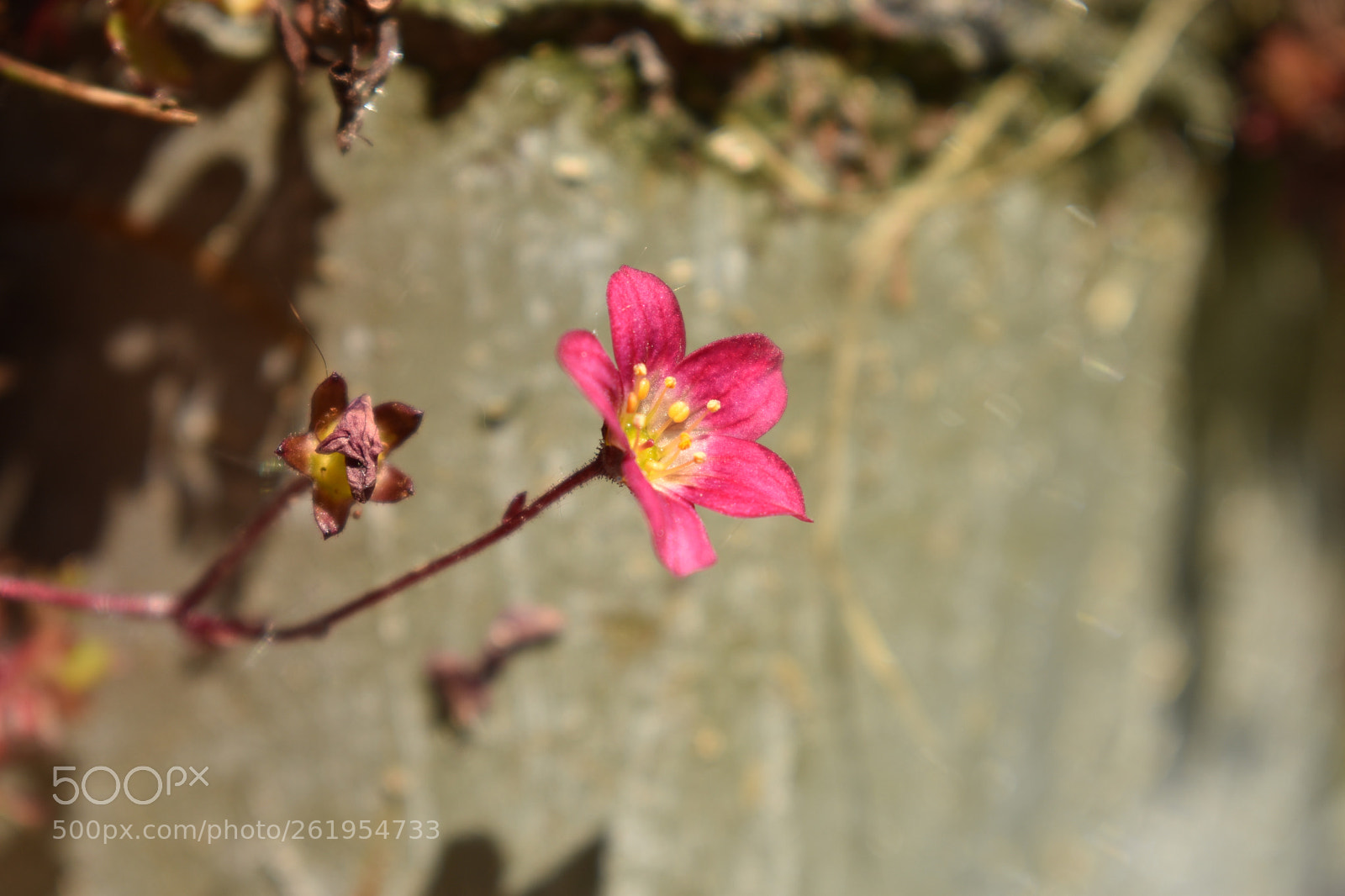Nikon D5600 sample photo. Untitled photography