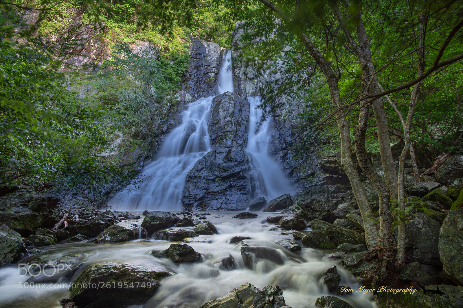 Nikon D5 sample photo. South river falls, shenandoah photography