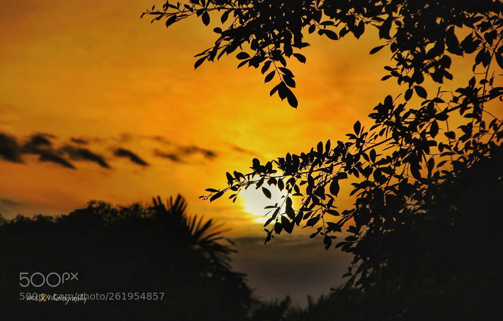 Canon EOS 1300D (EOS Rebel T6 / EOS Kiss X80) sample photo. Sunset time. photography