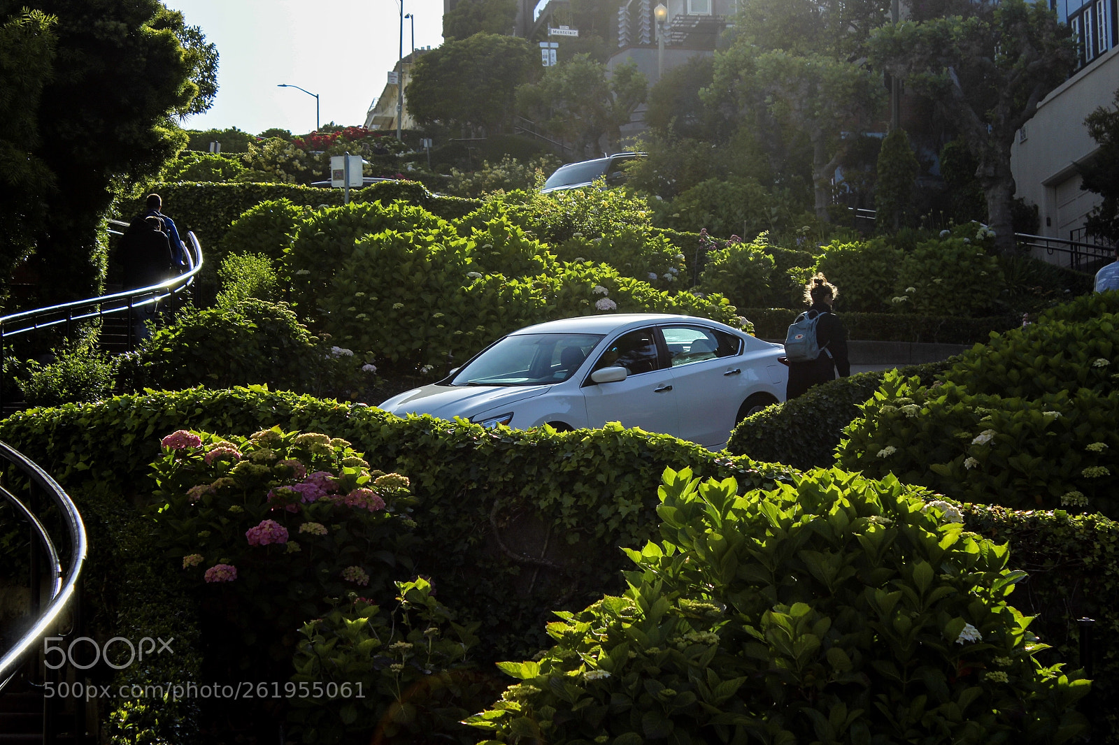 Canon EOS 1200D (EOS Rebel T5 / EOS Kiss X70 / EOS Hi) sample photo. Lombard street photography