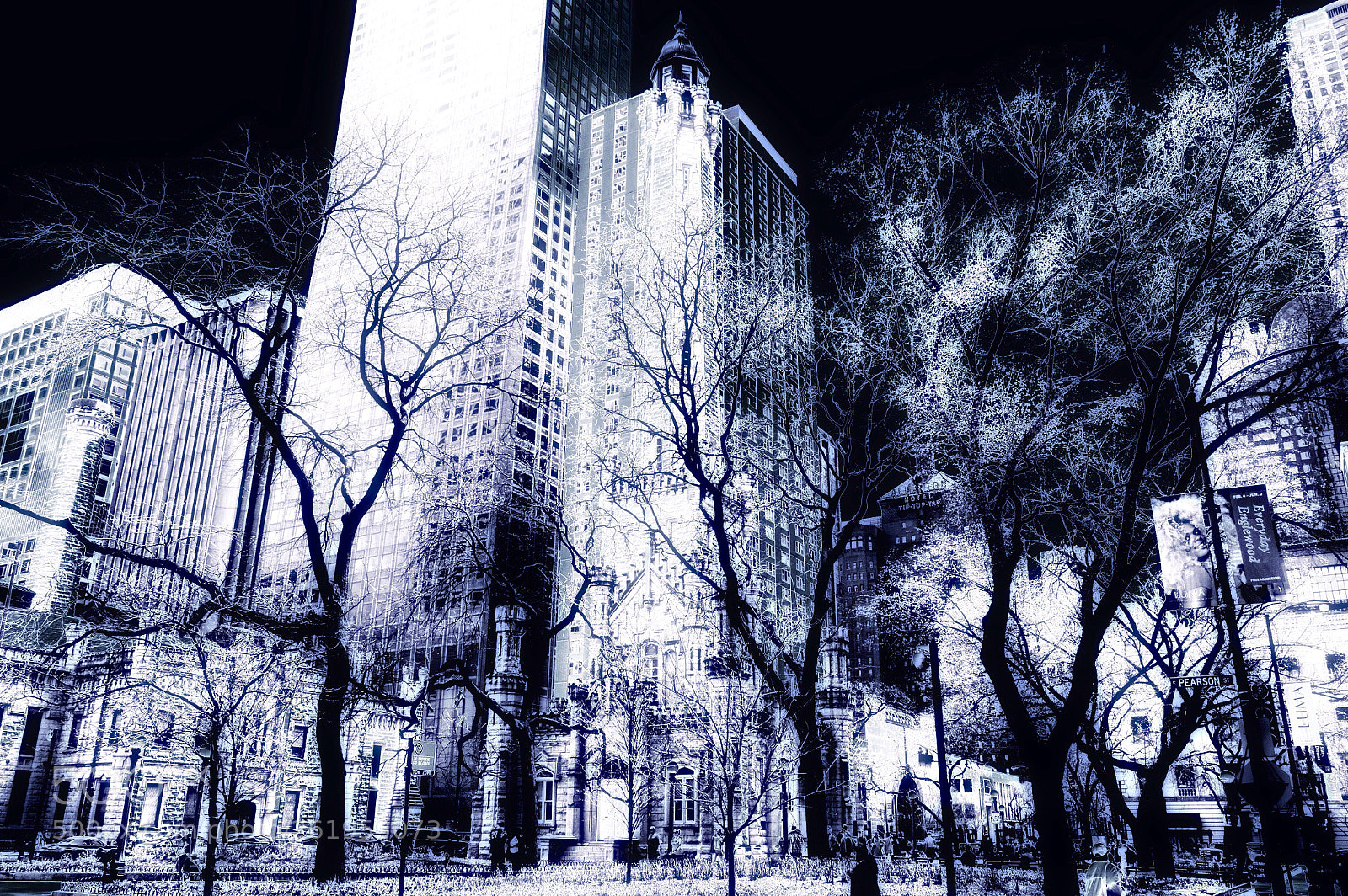 Nikon D3200 sample photo. City trees. photography